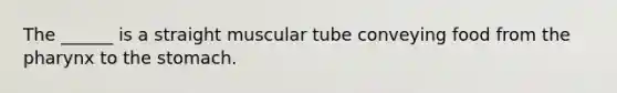 The ______ is a straight muscular tube conveying food from the pharynx to the stomach.