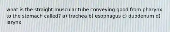 what is the straight muscular tube conveying good from pharynx to the stomach called? a) trachea b) esophagus c) duodenum d) larynx