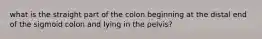 what is the straight part of the colon beginning at the distal end of the sigmoid colon and lying in the pelvis?