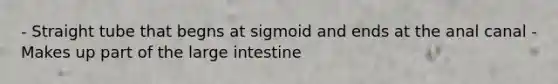 - Straight tube that begns at sigmoid and ends at the anal canal - Makes up part of the large intestine