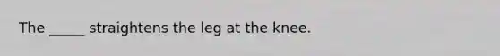 The _____ straightens the leg at the knee.