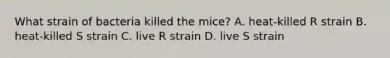 What strain of bacteria killed the mice? A. heat-killed R strain B. heat-killed S strain C. live R strain D. live S strain