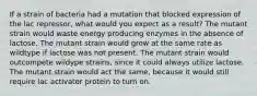 If a strain of bacteria had a mutation that blocked expression of the lac repressor, what would you expect as a result? The mutant strain would waste energy producing enzymes in the absence of lactose. The mutant strain would grow at the same rate as wildtype if lactose was not present. The mutant strain would outcompete wildype strains, since it could always utilize lactose. The mutant strain would act the same, because it would still require lac activator protein to turn on.