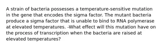 A strain of bacteria possesses a temperature‑sensitive mutation in the gene that encodes the sigma factor. The mutant bacteria produce a sigma factor that is unable to bind to RNA polymerase at elevated temperatures. -What effect will this mutation have on the process of transcription when the bacteria are raised at elevated temperatures?