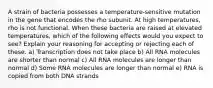 A strain of bacteria possesses a temperature-sensitive mutation in the gene that encodes the rho subunit. At high temperatures, rho is not functional. When these bacteria are raised at elevated temperatures, which of the following effects would you expect to see? Explain your reasoning for accepting or rejecting each of these. a) Transcription does not take place b) All RNA molecules are shorter than normal c) All RNA molecules are longer than normal d) Some RNA molecules are longer than normal e) RNA is copied from both DNA strands