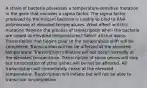 A strain of bacteria possesses a temperature-sensitive mutation in the gene that encodes a sigma factor. The sigma factor produced by the mutant bacteria is unable to bind to RNA polymerase at elevated temperatures. What effect will this mutation have on the process of transcription when the bacteria are raised at elevated temperatures? Select all that apply. Transcription that begins prior to the temperature shift will be completed. Transcription will not be affected at the elevated temperature. Transcription initiation will not occur normally at the elevated temperature. Transcription of some genes will stop but transcription of other genes will be not be affected. All transcription will immediately cease at the elevated temperature. Transcription will initiate but will not be able to transcribe to completion.