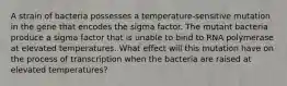 A strain of bacteria possesses a temperature‑sensitive mutation in the gene that encodes the sigma factor. The mutant bacteria produce a sigma factor that is unable to bind to RNA polymerase at elevated temperatures. What effect will this mutation have on the process of transcription when the bacteria are raised at elevated temperatures?