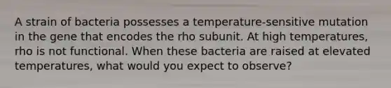 A strain of bacteria possesses a temperature‑sensitive mutation in the gene that encodes the rho subunit. At high temperatures, rho is not functional. When these bacteria are raised at elevated temperatures, what would you expect to observe?