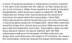 A strain of bacteria possesses a temperature‑sensitive mutation in the gene that encodes the rho subunit. At high temperatures, rho is not functional. When these bacteria are raised at elevated temperatures, what would you expect to observe? All RNA molecules are shorter than normal because the absence of functional rho would derail the transcription. Some RNA molecules would be normal length because not every terminator in bacterial genes would be rho‑dependent. Some RNA molecules would be longer than normal because these RNA came from the gene with rho‑dependent terminator. Transcription does not take place because mutant rho would interfere with the RNA polymerase binding to the template. All RNA molecules are longer than normal because the absence of functional rho means the transcription continues beyond the proper termination point.