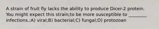 A strain of fruit fly lacks the ability to produce Dicer-2 protein. You might expect this strain;to be more susceptible to ________ infections.;A) viral;B) bacterial;C) fungal;D) protozoan