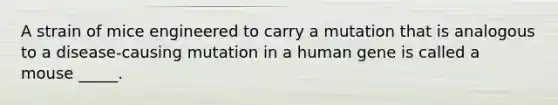 A strain of mice engineered to carry a mutation that is analogous to a disease-causing mutation in a human gene is called a mouse _____.