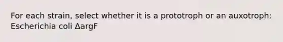 For each strain, select whether it is a prototroph or an auxotroph: Escherichia coli ΔargF