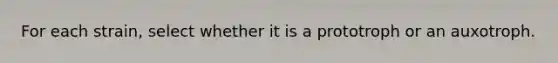 For each strain, select whether it is a prototroph or an auxotroph.