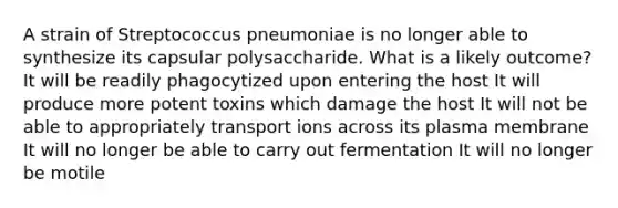 A strain of Streptococcus pneumoniae is no longer able to synthesize its capsular polysaccharide. What is a likely outcome? It will be readily phagocytized upon entering the host It will produce more potent toxins which damage the host It will not be able to appropriately transport ions across its plasma membrane It will no longer be able to carry out fermentation It will no longer be motile