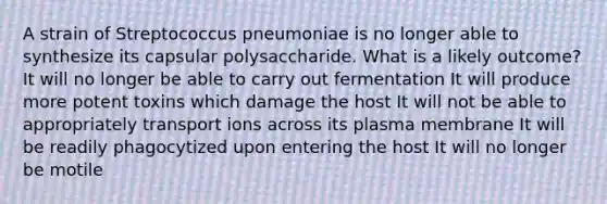 A strain of Streptococcus pneumoniae is no longer able to synthesize its capsular polysaccharide. What is a likely outcome? It will no longer be able to carry out fermentation It will produce more potent toxins which damage the host It will not be able to appropriately transport ions across its plasma membrane It will be readily phagocytized upon entering the host It will no longer be motile