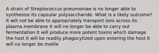 A strain of Streptococcus pneumoniae is no longer able to synthesize its capsular polysaccharide. What is a likely outcome? It will not be able to appropriately transport ions across its plasma membrane It will no longer be able to carry out fermentation It will produce more potent toxins which damage the host It will be readily phagocytized upon entering the host It will no longer be motile