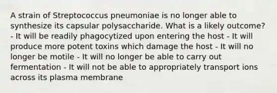 A strain of Streptococcus pneumoniae is no longer able to synthesize its capsular polysaccharide. What is a likely outcome? - It will be readily phagocytized upon entering the host - It will produce more potent toxins which damage the host - It will no longer be motile - It will no longer be able to carry out fermentation - It will not be able to appropriately transport ions across its plasma membrane