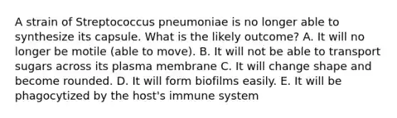 A strain of Streptococcus pneumoniae is no longer able to synthesize its capsule. What is the likely outcome? A. It will no longer be motile (able to move). B. It will not be able to transport sugars across its plasma membrane C. It will change shape and become rounded. D. It will form biofilms easily. E. It will be phagocytized by the host's immune system