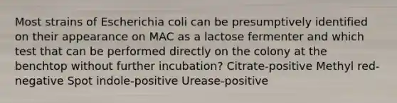 Most strains of Escherichia coli can be presumptively identified on their appearance on MAC as a lactose fermenter and which test that can be performed directly on the colony at the benchtop without further incubation? Citrate-positive Methyl red-negative Spot indole-positive Urease-positive