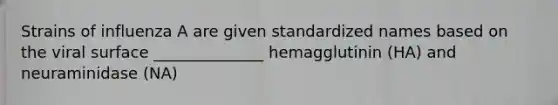 Strains of influenza A are given standardized names based on the viral surface ______________ hemagglutinin (HA) and neuraminidase (NA)