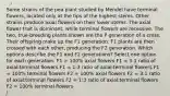 Some strains of the pea plant studied by Mendel have terminal flowers, located only at the tips of the highest stems. Other strains produce axial flowers on their lower stems. The axial flower trait is dominant, while terminal flowers are recessive. The two, true-breeding plants shown are the P generation of a cross. Their offspring make up the F1 generation. F1 plants are then crossed with each other, producing the F2 generation. Which options describe the F1 and F2 generations? Select one option for each generation. F1 = 100% axial flowers F1 = 3:1 ratio of axial:terminal flowers F1 = 1:3 ratio of axial:terminal flowers F1 = 100% terminal flowers F2 = 100% axial flowers F2 = 3:1 ratio of axial:terminal flowers F2 = 1:3 ratio of axial:terminal flowers F2 = 100% terminal flowers