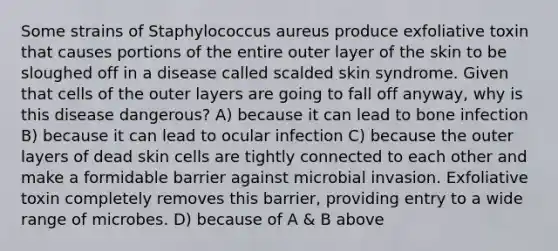 Some strains of Staphylococcus aureus produce exfoliative toxin that causes portions of the entire outer layer of the skin to be sloughed off in a disease called scalded skin syndrome. Given that cells of the outer layers are going to fall off anyway, why is this disease dangerous? A) because it can lead to bone infection B) because it can lead to ocular infection C) because the outer layers of dead skin cells are tightly connected to each other and make a formidable barrier against microbial invasion. Exfoliative toxin completely removes this barrier, providing entry to a wide range of microbes. D) because of A & B above