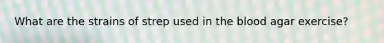 What are the strains of strep used in the blood agar exercise?
