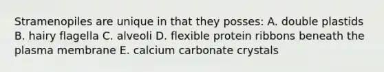 Stramenopiles are unique in that they posses: A. double plastids B. hairy flagella C. alveoli D. flexible protein ribbons beneath the plasma membrane E. calcium carbonate crystals