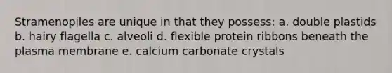 Stramenopiles are unique in that they possess: a. double plastids b. hairy flagella c. alveoli d. flexible protein ribbons beneath the plasma membrane e. calcium carbonate crystals