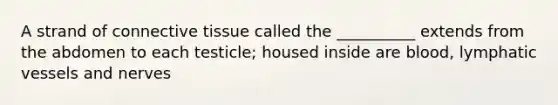 A strand of <a href='https://www.questionai.com/knowledge/kYDr0DHyc8-connective-tissue' class='anchor-knowledge'>connective tissue</a> called the __________ extends from the abdomen to each testicle; housed inside are blood, <a href='https://www.questionai.com/knowledge/ki6sUebkzn-lymphatic-vessels' class='anchor-knowledge'>lymphatic vessels</a> and nerves