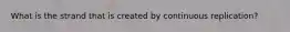 What is the strand that is created by continuous replication?