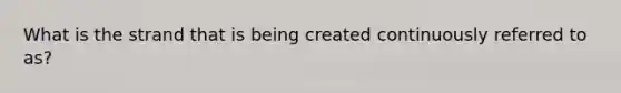 What is the strand that is being created continuously referred to as?