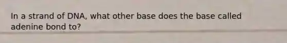 In a strand of DNA, what other base does the base called adenine bond to?