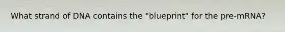 What strand of DNA contains the "blueprint" for the pre-mRNA?