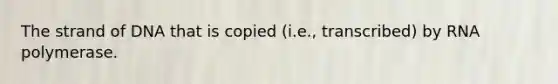 The strand of DNA that is copied (i.e., transcribed) by RNA polymerase.