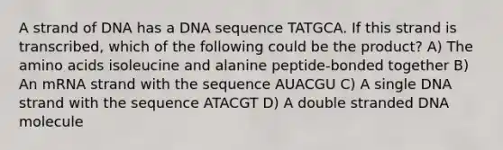 A strand of DNA has a DNA sequence TATGCA. If this strand is transcribed, which of the following could be the product? A) The <a href='https://www.questionai.com/knowledge/k9gb720LCl-amino-acids' class='anchor-knowledge'>amino acids</a> isoleucine and alanine peptide-bonded together B) An mRNA strand with the sequence AUACGU C) A single DNA strand with the sequence ATACGT D) A double stranded DNA molecule