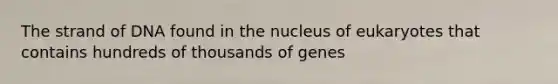 The strand of DNA found in the nucleus of eukaryotes that contains hundreds of thousands of genes