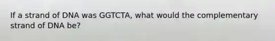 If a strand of DNA was GGTCTA, what would the complementary strand of DNA be?