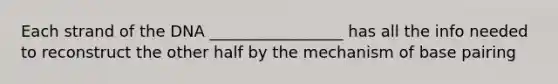 Each strand of the DNA _________________ has all the info needed to reconstruct the other half by the mechanism of base pairing