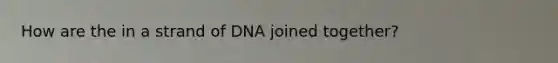 How are the in a strand of DNA joined together?