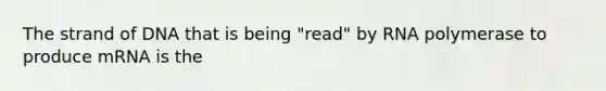 The strand of DNA that is being "read" by RNA polymerase to produce mRNA is the