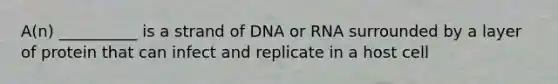 A(n) __________ is a strand of DNA or RNA surrounded by a layer of protein that can infect and replicate in a host cell