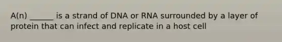 A(n) ______ is a strand of DNA or RNA surrounded by a layer of protein that can infect and replicate in a host cell