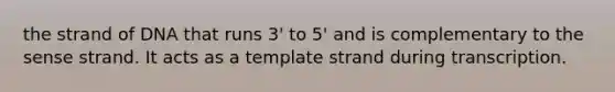 the strand of DNA that runs 3' to 5' and is complementary to the sense strand. It acts as a template strand during transcription.