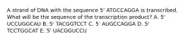 A strand of DNA with the sequence 5' ATGCCAGGA is transcribed. What will be the sequence of the transcription product? A. 5' UCCUGGCAU B. 5' TACGGTCCT C. 5' AUGCCAGGA D. 5' TCCTGGCAT E. 5' UACGGUCCU