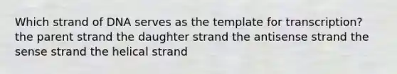 Which strand of DNA serves as the template for transcription? the parent strand the daughter strand the antisense strand the sense strand the helical strand