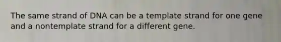 The same strand of DNA can be a template strand for one gene and a nontemplate strand for a different gene.