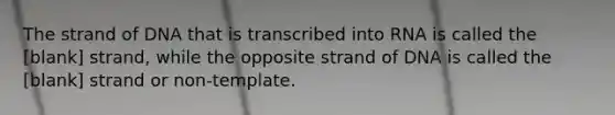 The strand of DNA that is transcribed into RNA is called the [blank] strand, while the opposite strand of DNA is called the [blank] strand or non-template.