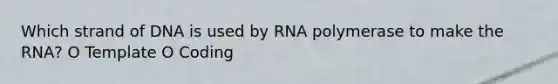 Which strand of DNA is used by RNA polymerase to make the RNA? O Template O Coding