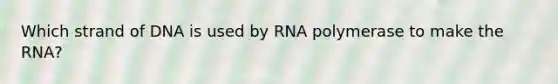 Which strand of DNA is used by RNA polymerase to make the RNA?